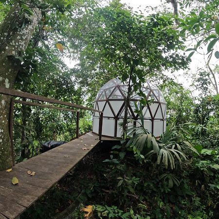 Taorayina Nature Lodge- Immersed In The Forest El Zaino Exteriör bild