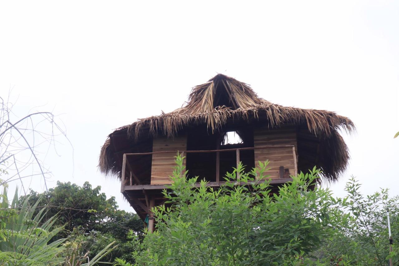 Taorayina Nature Lodge- Immersed In The Forest El Zaino Exteriör bild